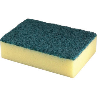 Sponge Back Scourers 10's 827.10